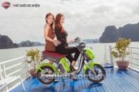 Xe điện Ninja 2016