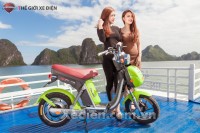 Xe điện Ninja 2016