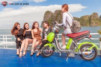 Xe điện Ninja 2016