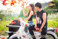 Xe Máy 50cc Cub 81 Việt Thái