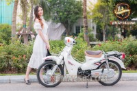 Xe Máy 50cc Cub 81 Việt Thái