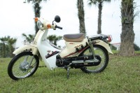 Xe Máy 50cc Cub Victoria 2023
