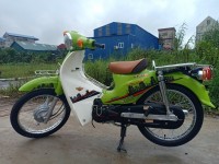 Xe Máy 50cc Cub Victoria 2023
