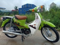 Xe Máy 50cc Cub Victoria 2023