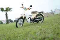 Xe Máy 50cc Cub Victoria 2023