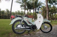 Xe Máy 50cc Cub Victoria 2023