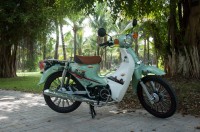 Xe Máy 50cc Cub Victoria 2023