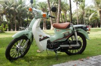 Xe Máy 50cc Cub Victoria 2023