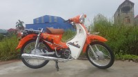 Xe Máy 50cc Cub Victoria 2023