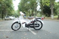 Xe Máy 50cc Cub Victoria 2023