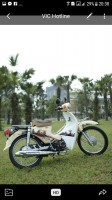 Xe Máy 50cc Cub Victoria 2023