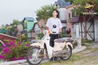 Xe Máy 50cc Cub New 50 Korea (Đèn LED)