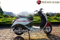 Xe Ga 50cc Elite SYM Trắng Đỏ/Trắng Xanh