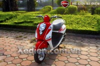 Xe Ga 50cc Elite SYM Trắng Đỏ/Trắng Xanh