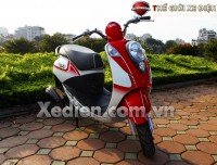 Xe Ga 50cc Elite SYM Trắng Đỏ/Trắng Xanh