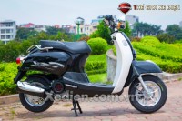 Xe Ga Scoopy 50cc Việt Thái