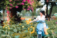 Xe Ga 50cc Vespa Ally A1