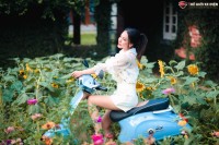 Xe Ga 50cc Vespa Ally A1