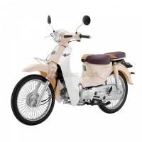 Xe Máy 50cc Cub New Ally 50SE