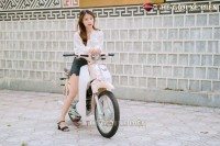 Xe Máy 50cc Cub New Ally 50SE