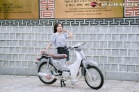 Xe Máy 50cc Cub New Ally 50SE