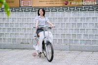 Xe Máy 50cc Cub New Ally 50SE