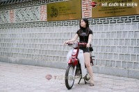 Xe Máy 50cc Cub New Ally 50SE