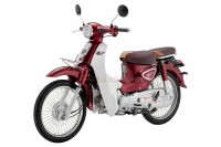 Xe Máy 50cc Cub New Ally 50SE