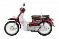 Xe Máy 50cc Cub New Ally 50SE 2023