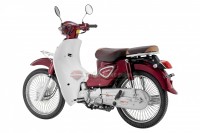 Xe Máy 50cc Cub New Ally 50SE