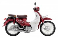 Xe Máy 50cc Cub New Ally 50SE