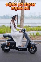 Xe Đạp Điện VC Elyas Ally Đời Mới