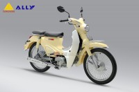 Xe Máy 50cc Cub 50 Classic Korea (Đèn LED)