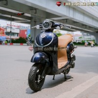 Xe Ga 50cc Golden Ally Japan MOVT 2023