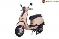 Xe Ga 50cc Ally Vegas Thế Hệ Mới