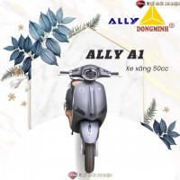 Xe Ga 50cc Vespa Ally A1