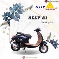 Xe Ga 50cc Vespa Ally A1