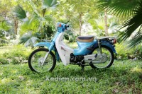 Xe Máy 50cc Cub 81 Việt Thái