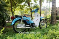 Xe Máy 50cc Cub 81 Việt Thái