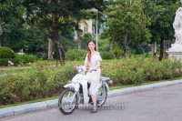 Xe Máy 50cc Cub 81 Việt Thái