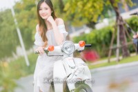 Xe Máy 50cc Cub 81 Việt Thái