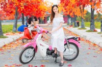 Xe Máy 50cc Cub 81 Việt Thái