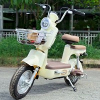 Xe Đạp Điện Dibao AMY