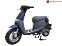 Xe Ga 50cc Dibao Gofast 2022