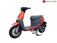 Xe Ga 50cc Dibao Gofast 2022