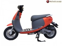 Xe Ga 50cc Dibao Gofast 2022