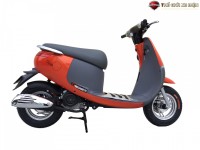 Xe Ga 50cc Dibao Gofast 2022