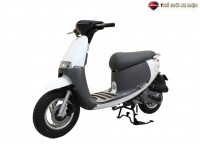 Xe Ga 50cc Dibao Gofast 2022