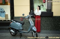 Xe Ga 50cc Dibao Pansy XS1 Neo Pro 2024