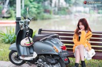 Xe Ga 50cc Dibao Creer Phanh Đĩa